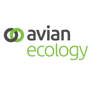 Head of Ecology/Technical Director